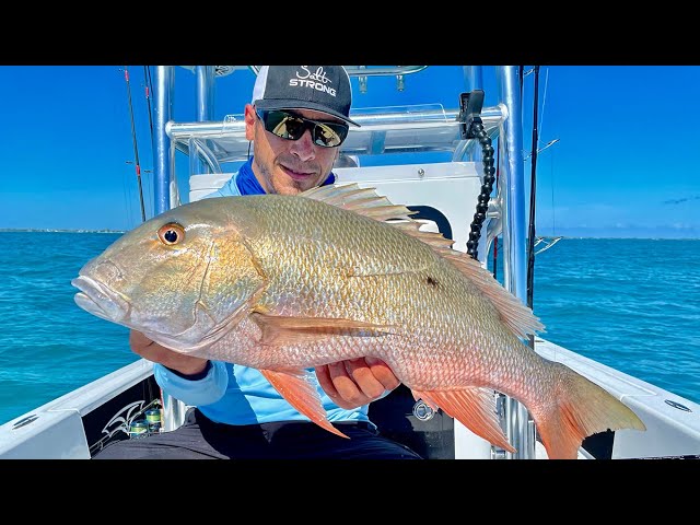 Easiest Way To Chum Up & Catch Snapper (Step By Step Tutorial)