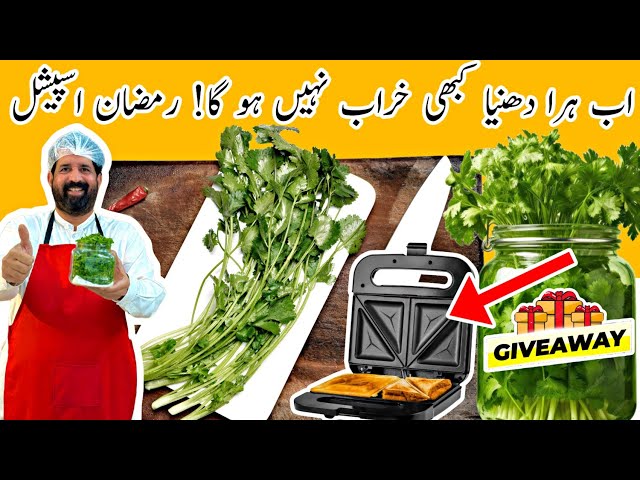 How To Store Coriander Leaves - رمضان کیلئے دھینا محفوظ کرنے کا طریقہ - Easy Tips - BaBa Food RRC