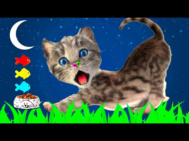 LITTLE KITTEN ADVENTURE - DRESS-UP PARTY AND FUN FOR TODDLERS WITH CUTE KITTEN AND CAT VIDEOS