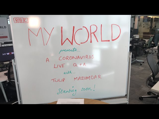 Coronavirus LIVE Q&A - BBC My World