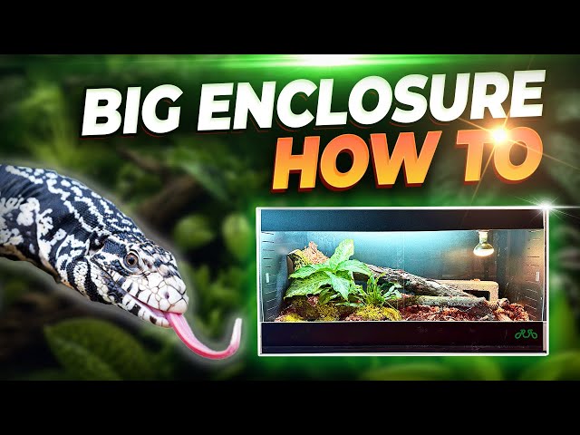 How YOU Can Build an AMZING Reptile Enclosure for NO MONEY | My Tegu Gets a HUGE Upgrade!