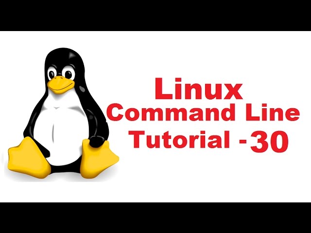 Linux Command Line Tutorial For Beginners 30 -  wc command