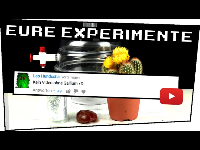 EXPERIMENT / GALLIUM, Fleisch und MEHR im VAKUUM ! - Eure Experimente #03