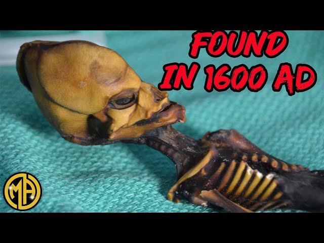 Scary Real Alien Stories Not For The Faint Hearted