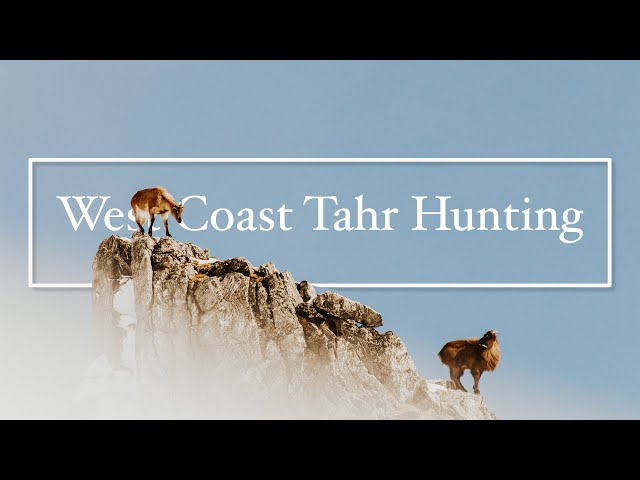 Hunting Tahr New Zealand - 2021 Tahr ballot  || The Weekend Mish || ep3, S2