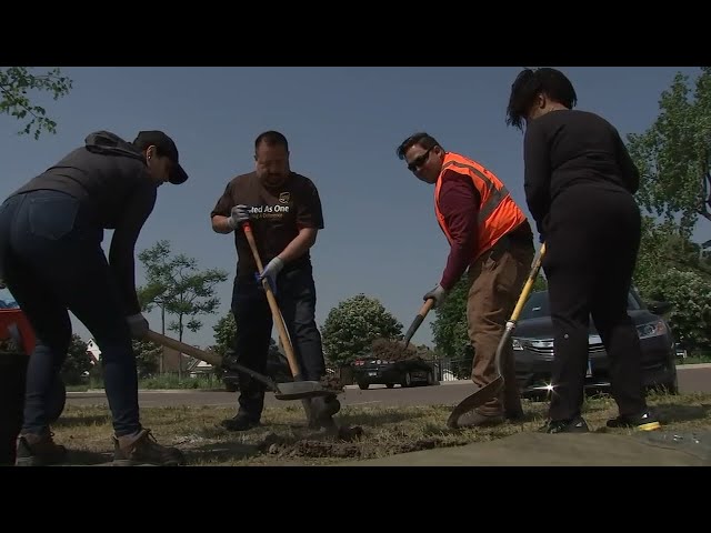 Environmental activists plant trees to help underserved neighborhoods