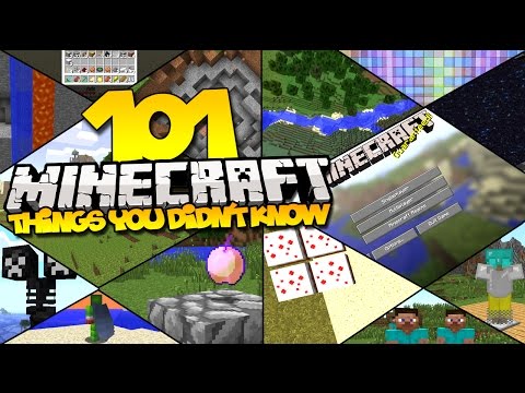 Minecraft Things You Didn't Know - Facts About Minecraft