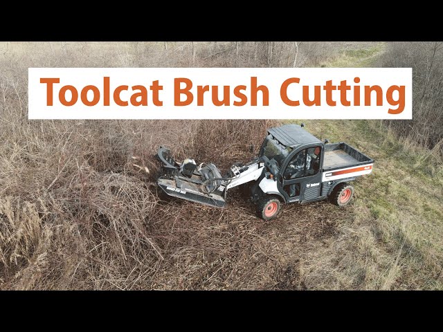 ✅ Brush Cutting Along ATV Trails - Toolcat with Skid Steer MTL XC7 Hydraulic Swing Blade Cutter
