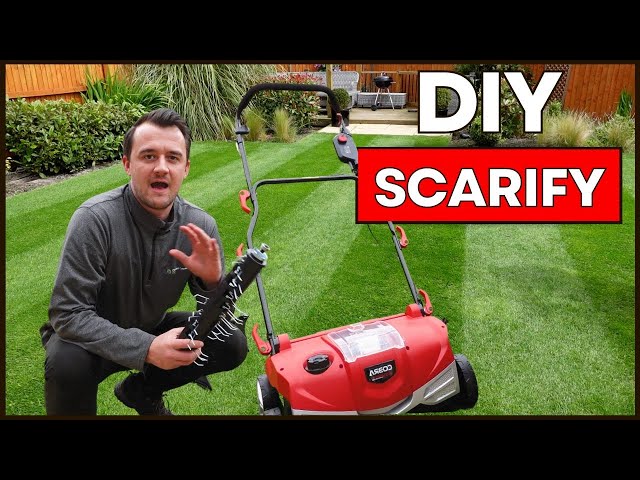 How to Scarify a Lawn - The Complete Guide