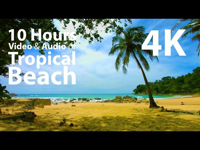 4K UHD 10 hours - Beach, Lapping Waves, Birds Singing - mindfulness, relaxing, meditation, nature