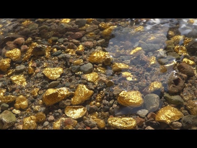 There's So Much Gold, That it's Impossible To Collect.