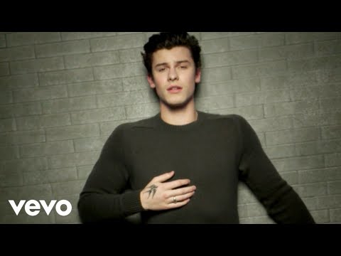 The Shawn Mendes Foundation Playlist