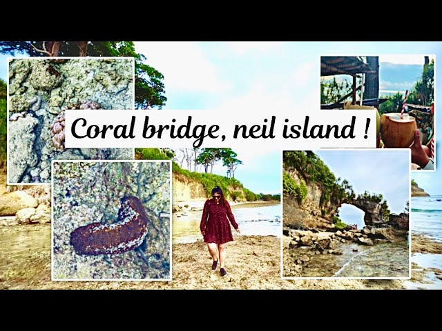 Natural Bridge in Neil Island | coral bridge neil island | laxamanpur beach 1 | andaman vlog 2023