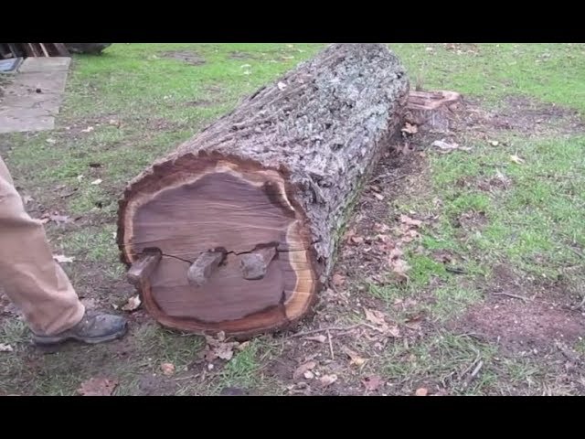 Genius Turns An Old Tree Trunk Into A Masterpiece Without Using A Single Power Tool