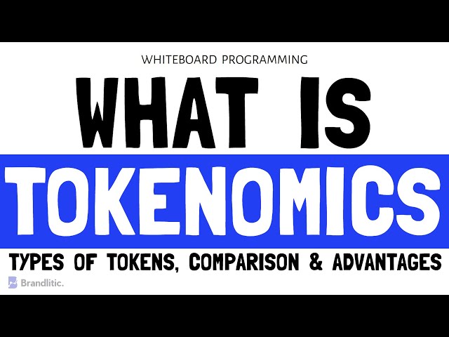 What is Tokenomics Explained | Tokenomics 101: Everything You Need To Know