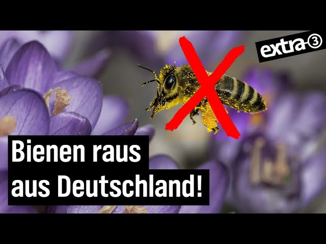Besser leben ohne Bienen | extra 3 | NDR