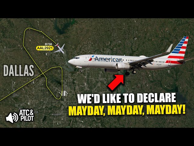 American Airlines Boeing 737 PERFORMS a GO-AROUND and DECLARES MAYDAY due to a gear issue in Dallas