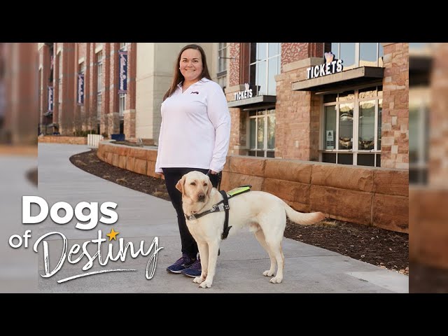 “Game Changer” | Katie Hearn and guide dog Jack