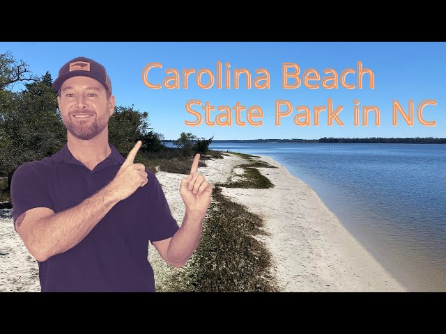 Carolina Beach State Park in Carolina Beach NC
