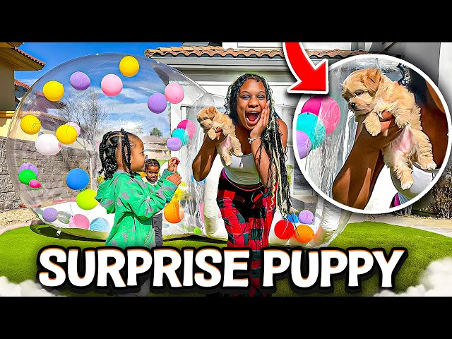 I SURPRISED MY KIDS WITH AN ADORABLE LITTLE PUPPY!