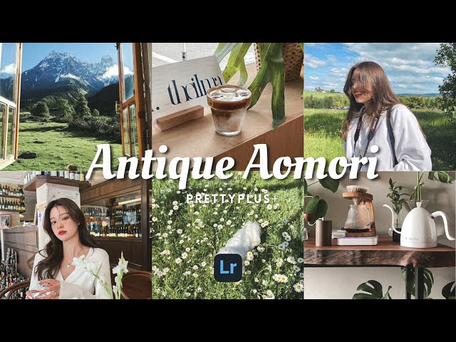 Antique Aomori - Lightroom Mobile Preset Android iOS| Free Download DNG & XMP | Bright Clear Nature