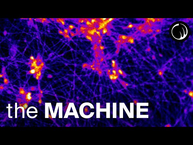 The Machine - A Thought Experiment That Changes Your Life