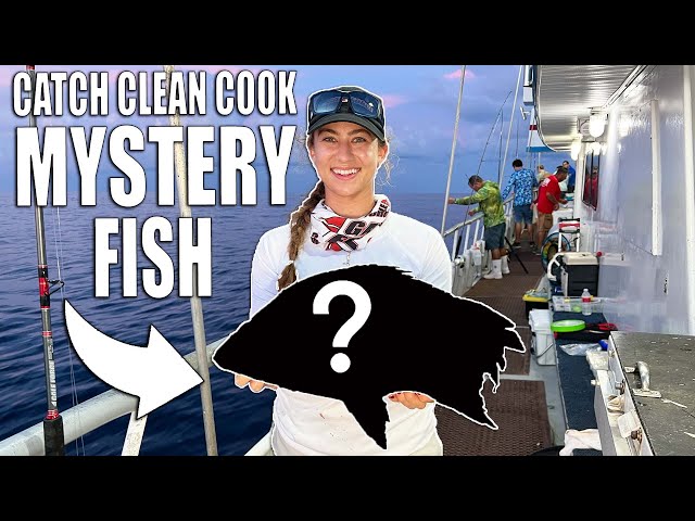 Half Shark Eaten Fish - Catch Clean Cook Mystery Dinner!