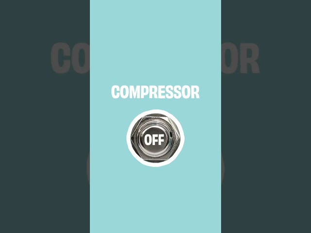 does compression work for #bass ??? YESSS!                          the wong compressor