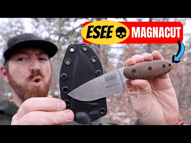 Will This Be The Best EDC Fixed Blade Of 2024?