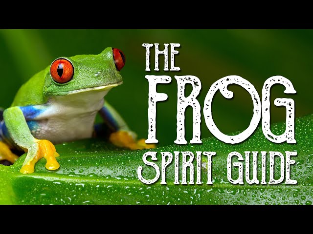 The Frog Spirit Guide - Ask the Spirit Guides Oracle - Totem Animal, Power Animal - Magical Crafting