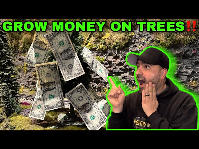 How to Grow Money on Trees 🤑🌳