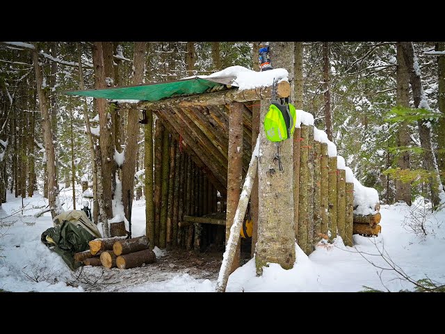 Building a Fort in the Woods-OVERNIGHT BUSHCRAFT CAMP in the Snow w/ My Dog