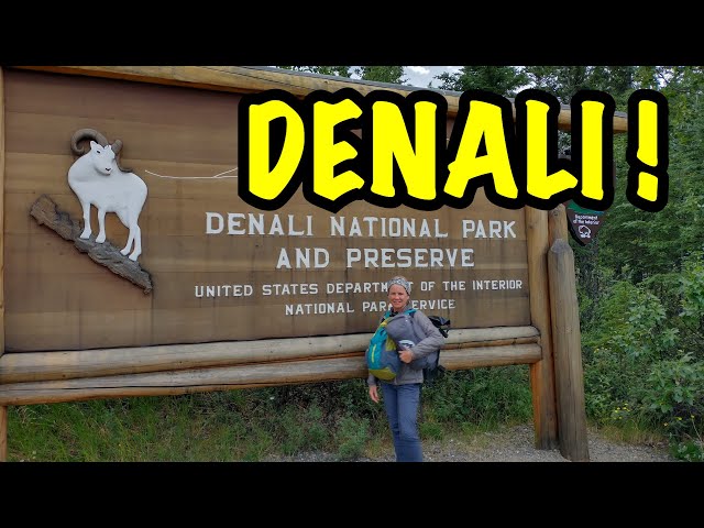 ALASKA Adventure DAY 2 | DENALI NATIONAL PARK! We explore Denali backpacking Igloo Creek Campground.