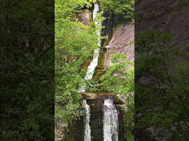 #springtime #spring #waterfalls #waterfall #northcarolina #shorts #short #water #creek #cascades
