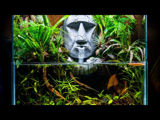 Ancient Ruins Reclaimed by Nature Jungle Paludarium with DIY Waterfall Statue Face