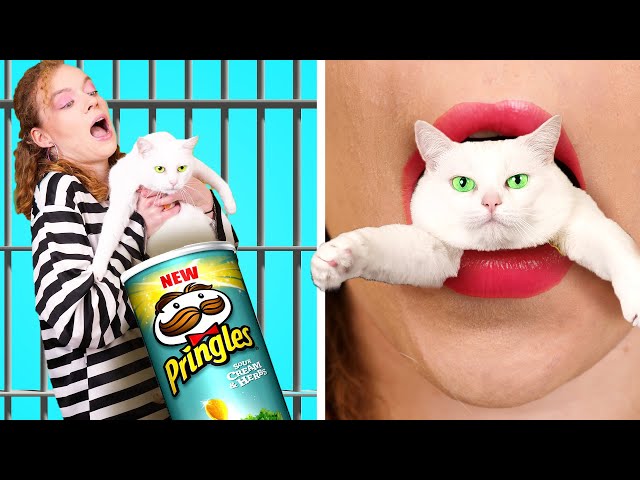 FUN WAYS TO SNEAK PETS INTO JAIL! Funny Situations & Life Hacks