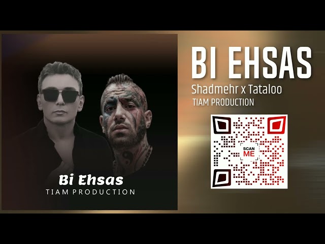 Amir Tataloo x Shadmehr Aghili  - Bi Ehsas - TIAM Remix (شادمهر عقیلی - امیر تتلو (بی احساس ریمیکس