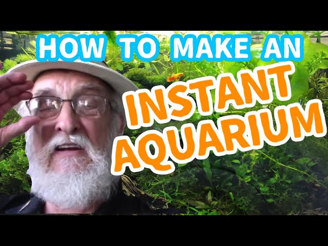 How to Setup A Natural Aquarium | Low Maintenance Quick and Easy