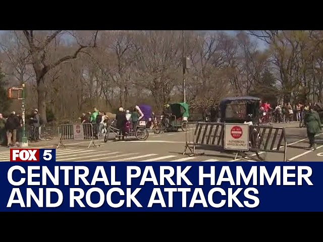Central Park hammer and rock attacks