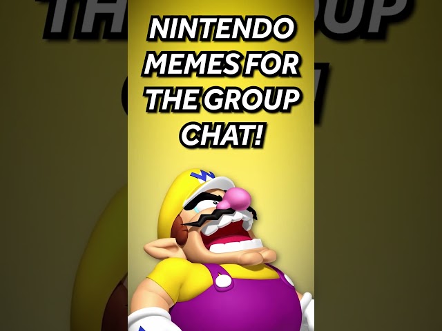 DAILY NINTENDO MEMES FOR THE GROUP CHAT 5