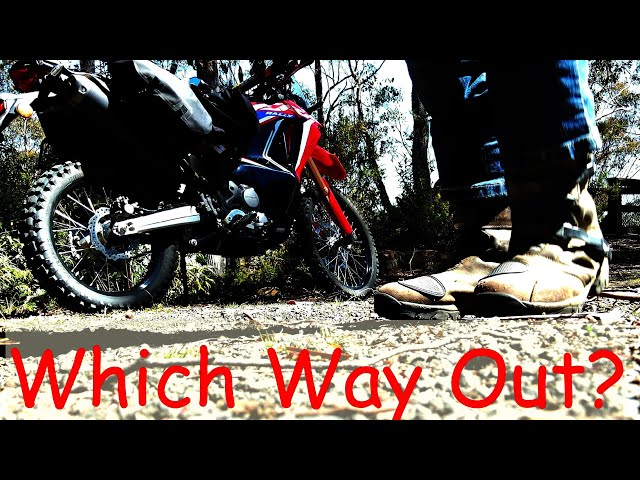 Can I get out that way?  CRF300 Rally
