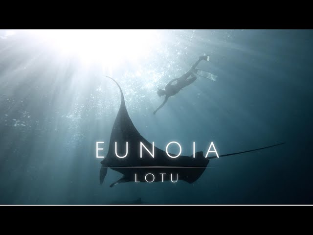 Eunoia - LOTU - Free Diving with Manta Rays in Bali, Indonesia
