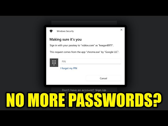How To Use Passkeys On Roblox