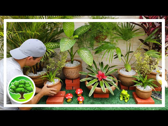 💚 DIY - SMALL GARDEN WITH POTS / SHADE PLANTS