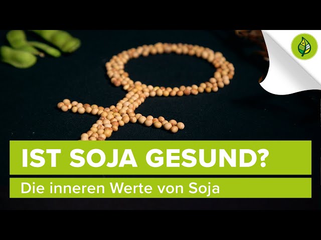 Ist Soja gesund? – Die inneren Werte von Soja