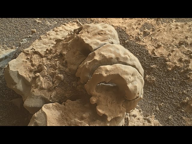 Volumetric Snail-Shaped Martian formation as a geological masterpiece in Curiosity Mars Rover's lens