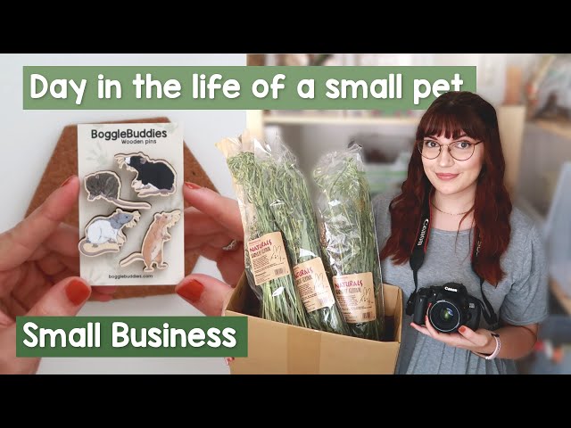 A day in the life of a small pet small business | VLOG
