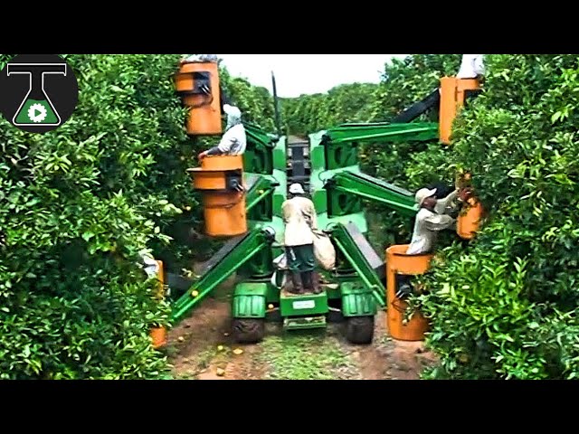 Most Satisfying Machines That You Won't SEE Again ▶56