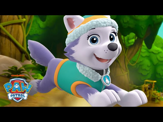 PAW Patrol Everest Makes a Daring Jungle Rescue! 🌴 w/ Chase, Tracker & Rubble | Shimmer and Shine