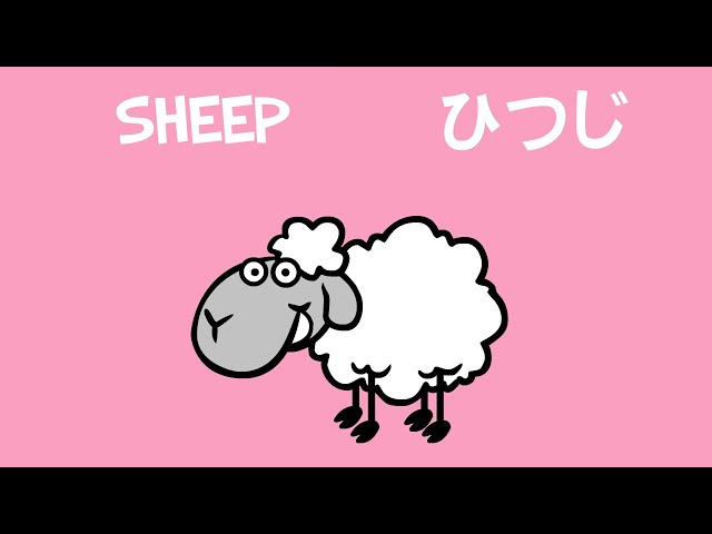 ANIMAL NAMES IN JAPANESE by The Brilliant Kid